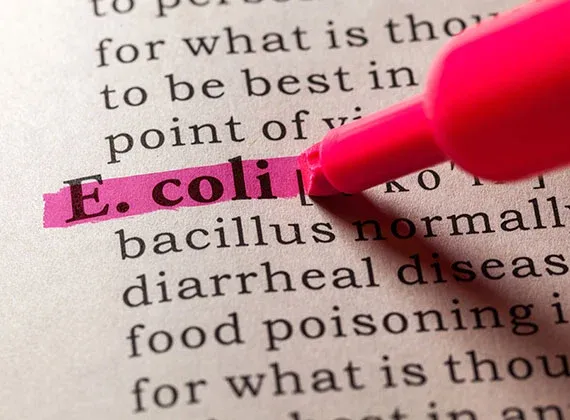 E.coli